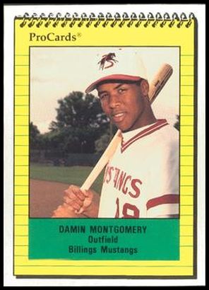 3768 Damin Montgomery